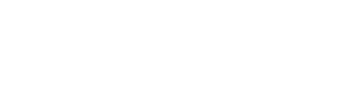 Sheppard's Irish Auction House